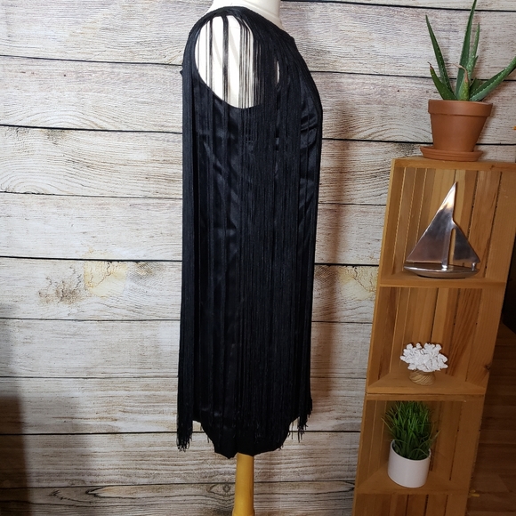 Gorgeous fringe dress size 6 - Picture 3 of 9